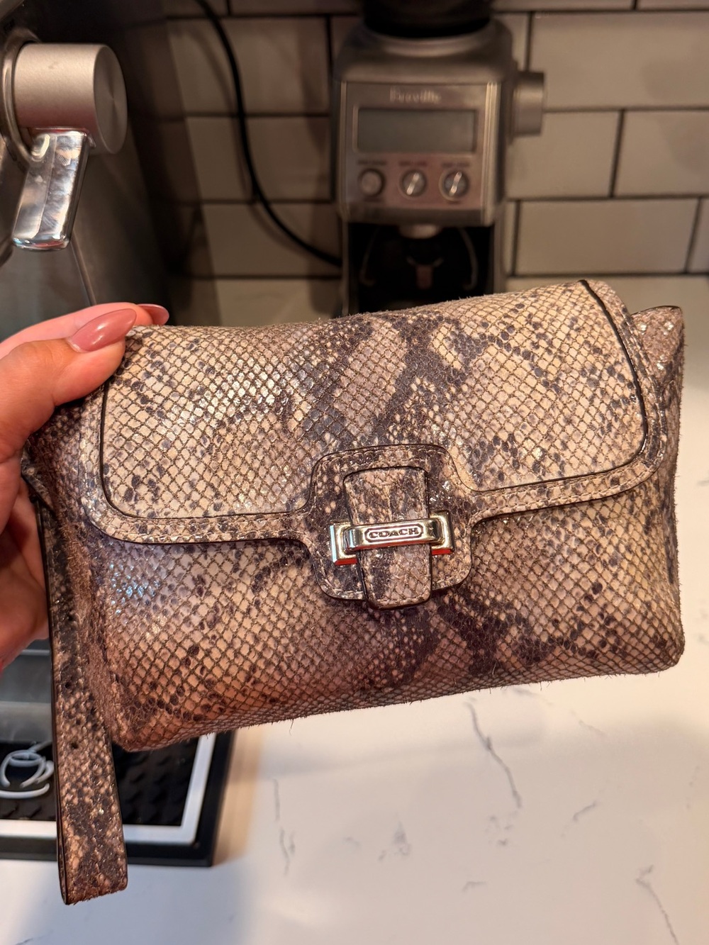 Coach Taylor F50579 Exotic Flap Clutch Wristlet in Ivory/Gray